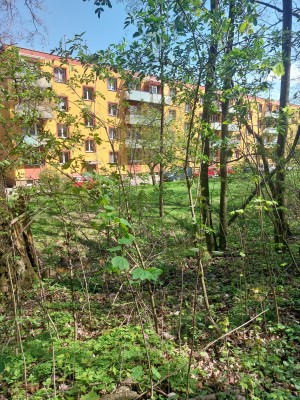 Obnova stezky pod břehem Palackého