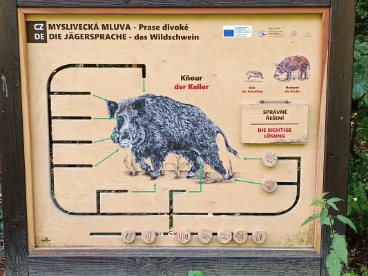 Věž poznání a vzdělávací prvky v lesoparku