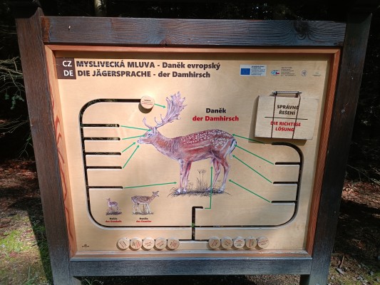 Věž poznání a vzdělávací prvky v lesoparku
