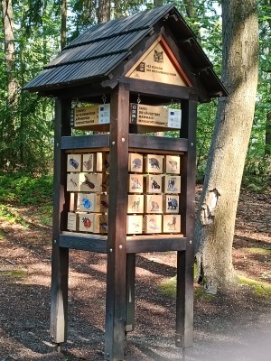 Věž poznání a vzdělávací prvky v lesoparku