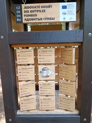 Věž poznání a vzdělávací prvky v lesoparku