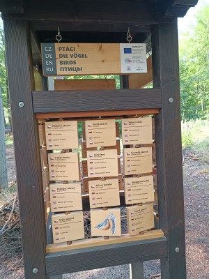 Věž poznání a vzdělávací prvky v lesoparku