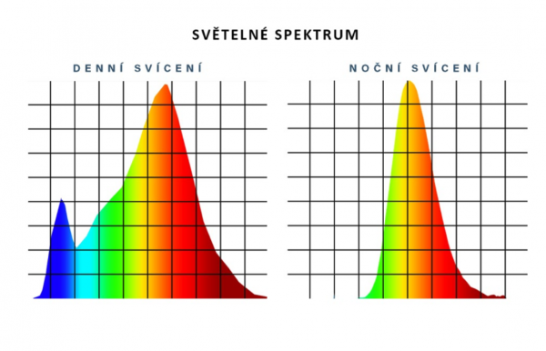 Biodynamické veřejné osvětlení