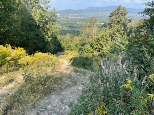 Odstranění náletů křovin a stromků ze sjezdovky z Javorového vrchu