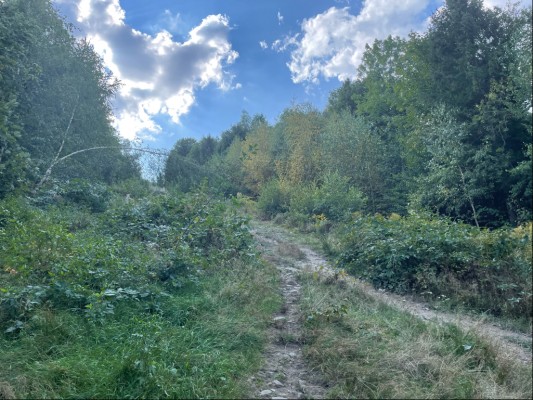 Odstranění náletů křovin a stromků ze sjezdovky z Javorového vrchu