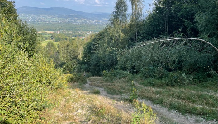 Odstranění náletů křovin a stromků ze sjezdovky z Javorového vrchu