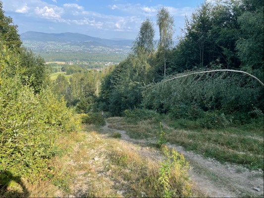 Odstranění náletů křovin a stromků ze sjezdovky z Javorového vrchu