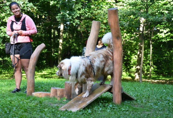 Agility hřiště pro psy