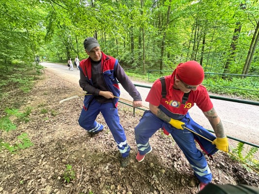 Lesopark - oprava veřejného osvětlení