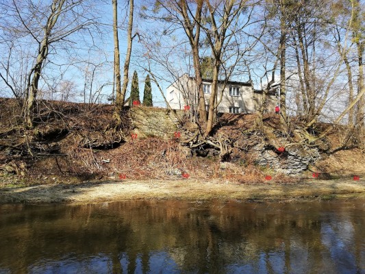 Zajištění břehového svahu Olše