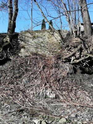 Zajištění břehového svahu Olše