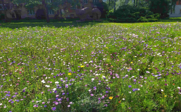 městská část Lyžbice u obchodního domu Styl