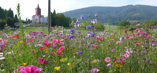 autobusová zastávka Oldřichovice konečná