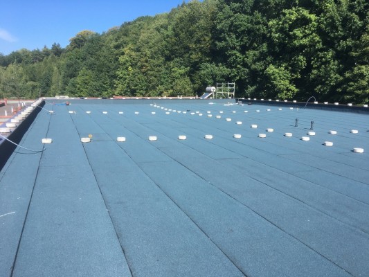 Základní škola Kaštanová