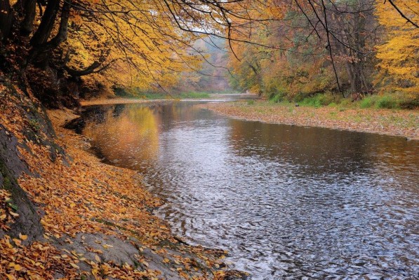 Relaxační zóna na břehu Olše